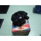 TAPA DISTRIBUIDOR SEAT 600 PRIMERAS SERIES