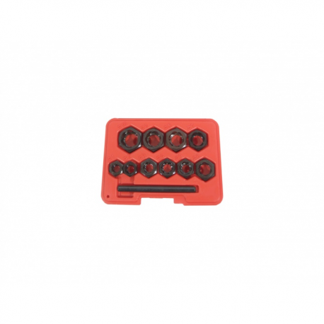 EXTRACTOR DE TORNILLOS 11 PIEZAS
