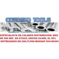 UTIL FIJACION DEL PIÑON DE ACCIONAMIENTO MOTORES VAG 3.6L FSi