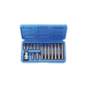 JUEGO PUNTAS TORX, 10MM. 15 PIEZAS