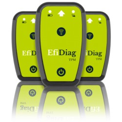 EQUIPO DIAGONOSIS CODIFICACION Y CLONACION TPMV