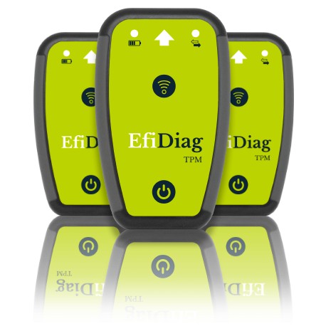 EQUIPO DIAGONOSIS CODIFICACION Y CLONACION TPMV