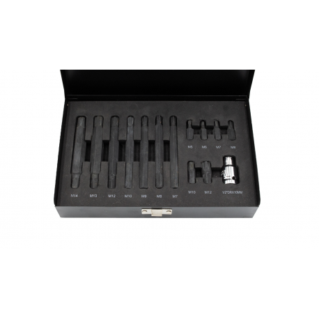 JUEGO PUNTAS RIBE 10MM, 14 PIEZAS