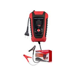 CARGADOR BATERIAS 6V 2A, 12V 5A CPU INTELIGENTE AGM, GEL, SLA, EFB