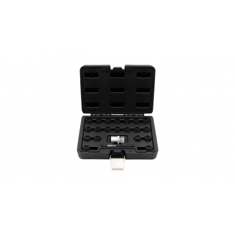 JUEGO DE VASOS PARA TORNILLOS ANTIRROBO AUDI, 21 PIEZAS