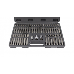 JUEGO DE PUNTAS CONEXION 10MM, 75 PIEZAS