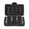 JUEGO PUNTAS RIBE, ANTIRROBOS BMW, 10 PIEZAS