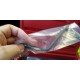 Conjunto Reglaje Alfa Romeo/Fiat/Peugeot 1.9/1.9TD